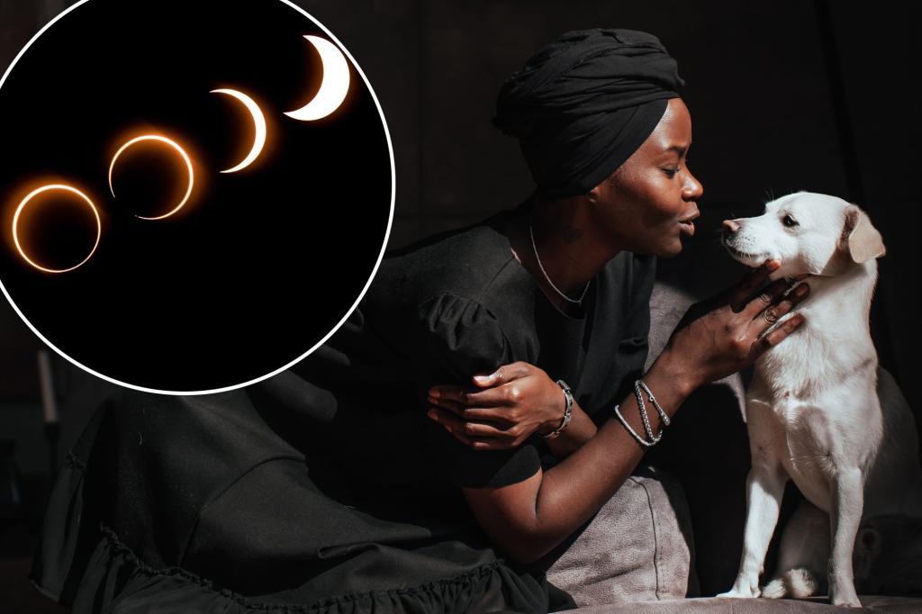 This week's solar eclipse could make your pet anxious - how to help them through this stressful time

